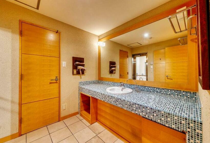 اتاق استاندارد, Lotus Chiba  Adult Only