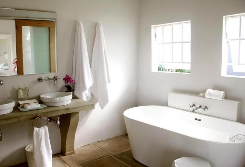 استودیوی استاندارد, White Light The Rooms   Adults Only
