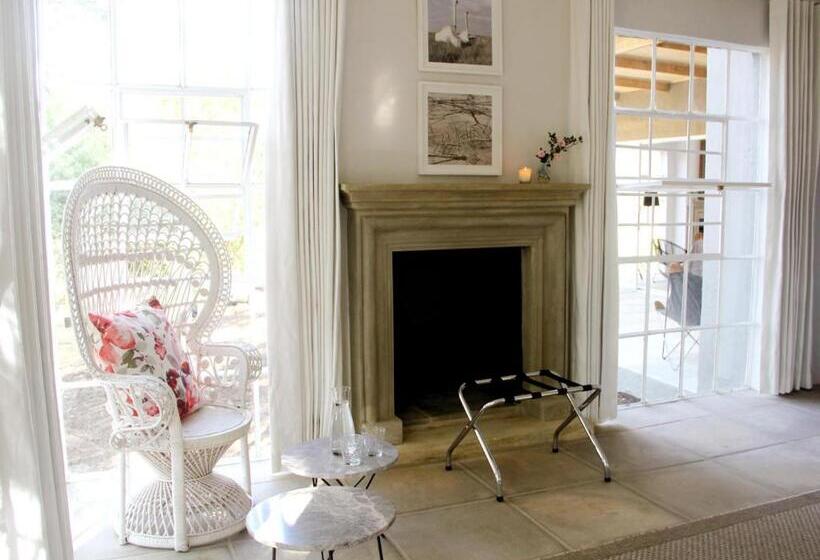 استودیوی استاندارد, White Light The Rooms   Adults Only