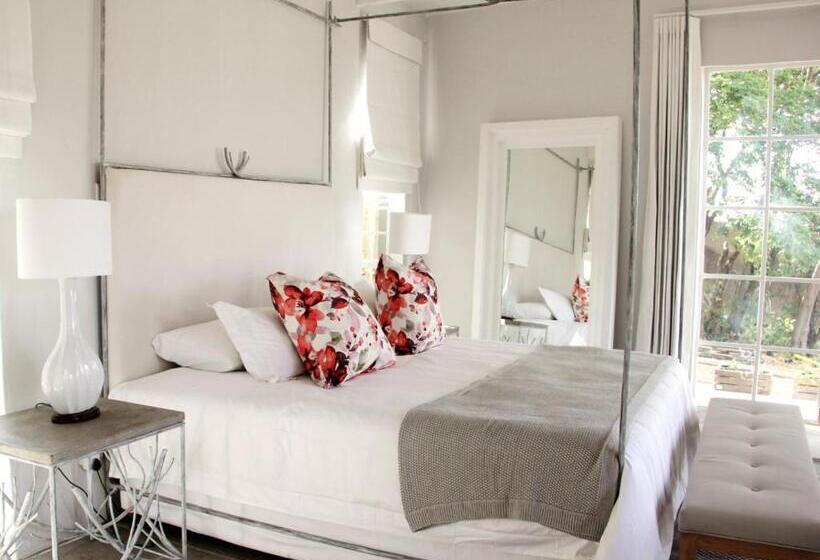 استودیوی استاندارد, White Light The Rooms   Adults Only