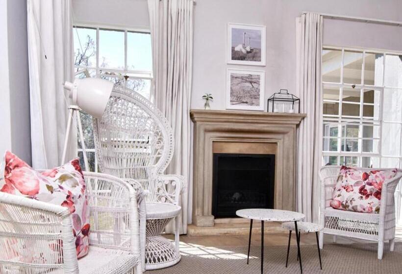 اتاق لوکس با تخت بزرگ, White Light The Rooms   Adults Only