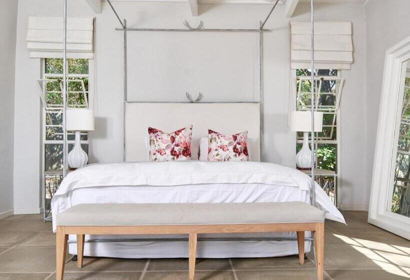 اتاق لوکس با تخت بزرگ, White Light The Rooms   Adults Only