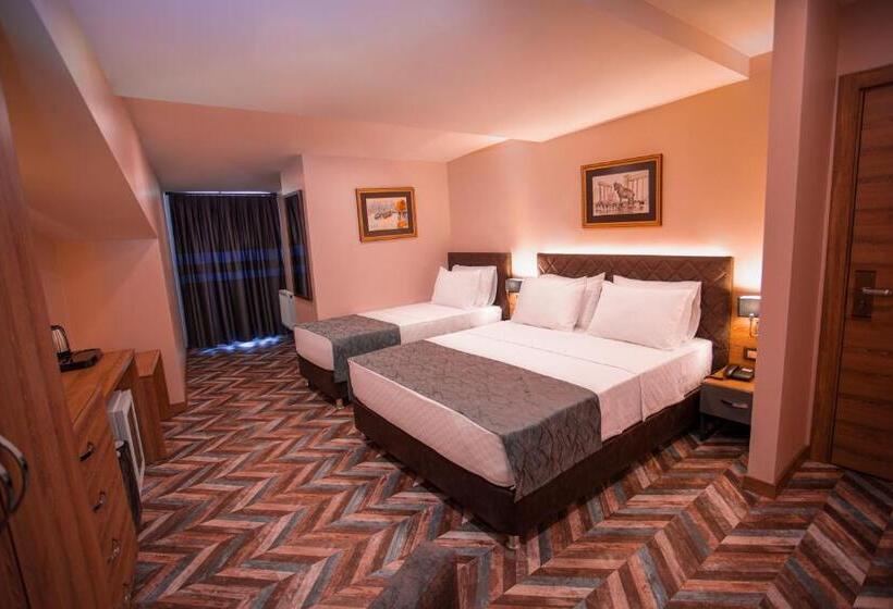 Standard Triple Room with Terrace, Kale 17