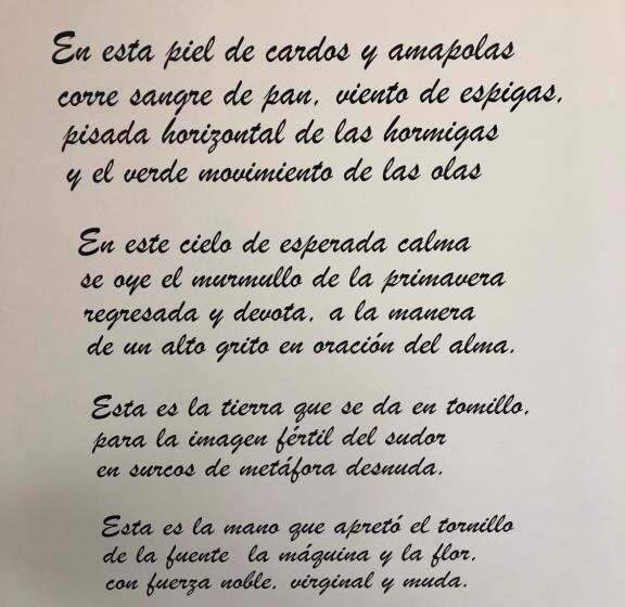آپارتمان 1 خوابه, Apartamentos Turísticos Escorraladas