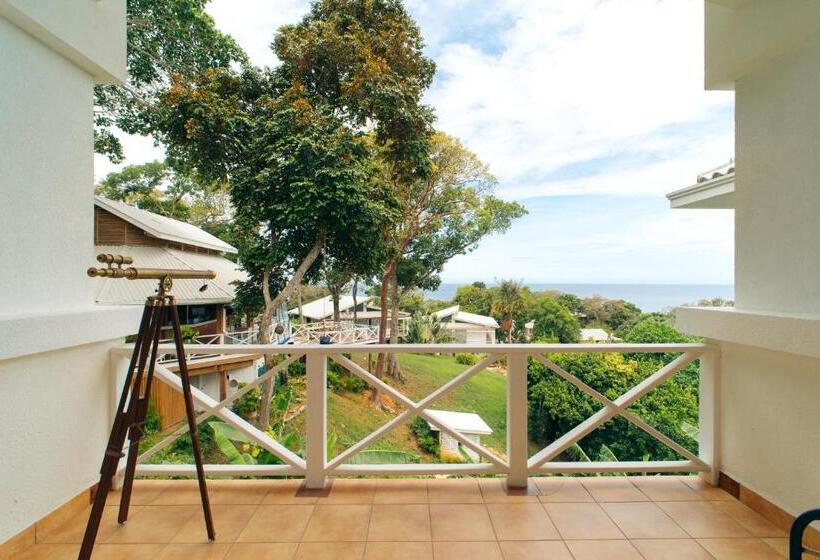 سوئیت با تخت بزرگ, Blue Roatan Resort