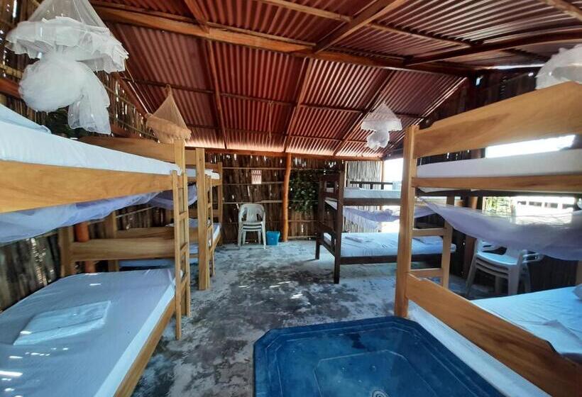 تختخواب در اتاق مشترک, Talata Hostal