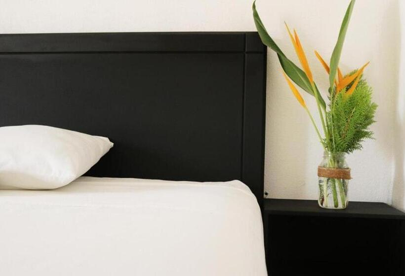 اتاق استاندارد, Room In Guest Room   Double Room For A Couple