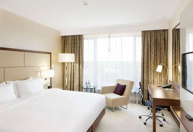 带大床的标准间, Hilton Shigatse