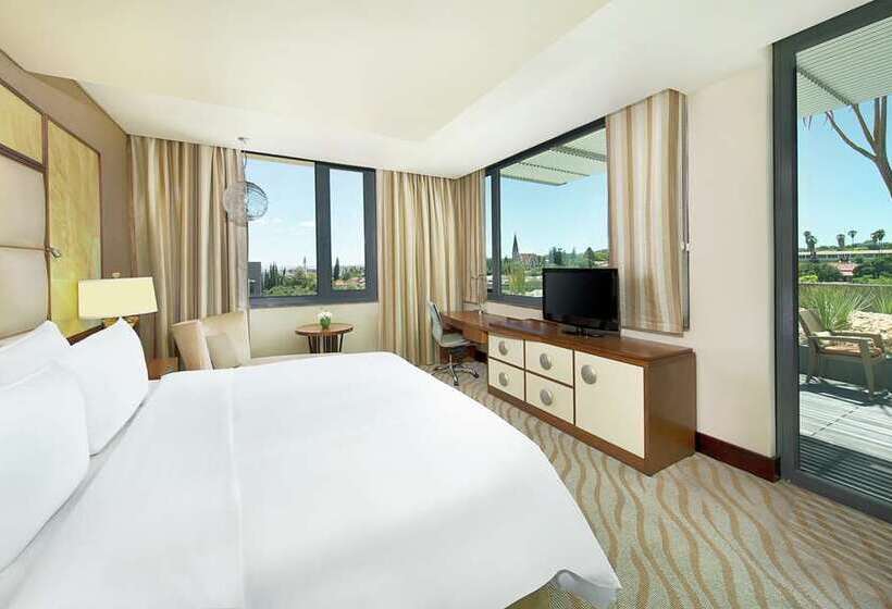 带大床的标准间, Hilton Shigatse
