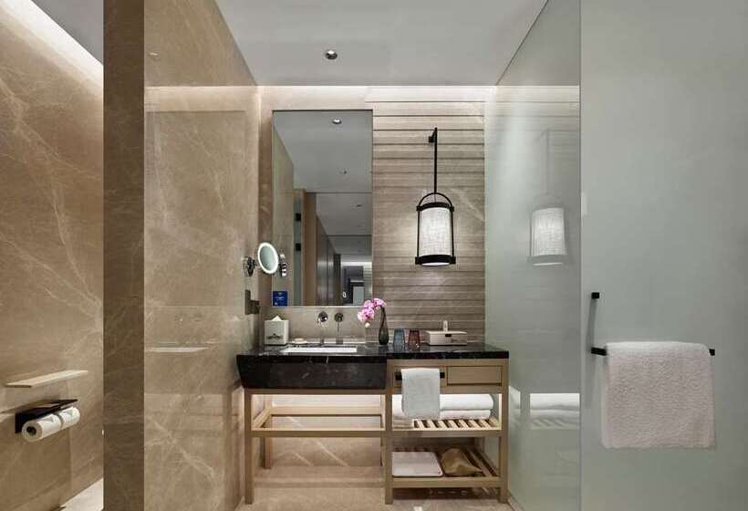 带大床的标准间, Hilton Shigatse