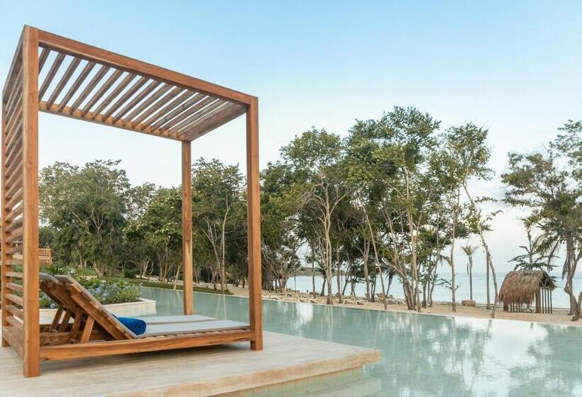 سوئیت جونیور با تخت بزرگ, Sofitel Barú Calablanca