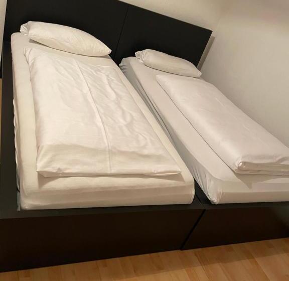 اتاق اکونومی, Relax Hotel Ludwigshafen