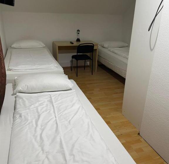 Economy Triple Room, Relax Hotel Ludwigshafen