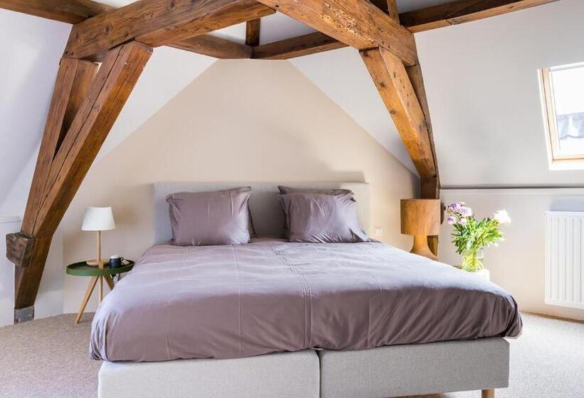 غرفة قياسية, Stadshotel Steegoversloot