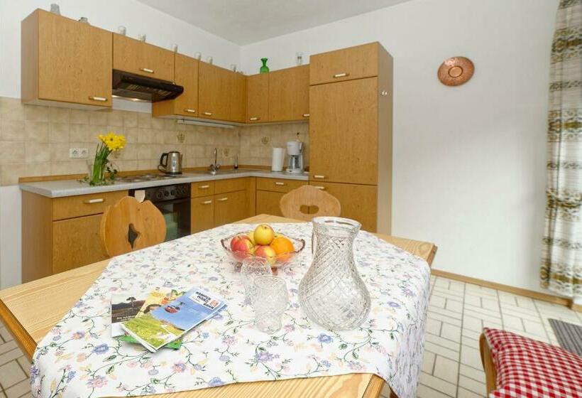 带1个卧室带观景的公寓, Gästehaus Koyerbauer Boardinghouse