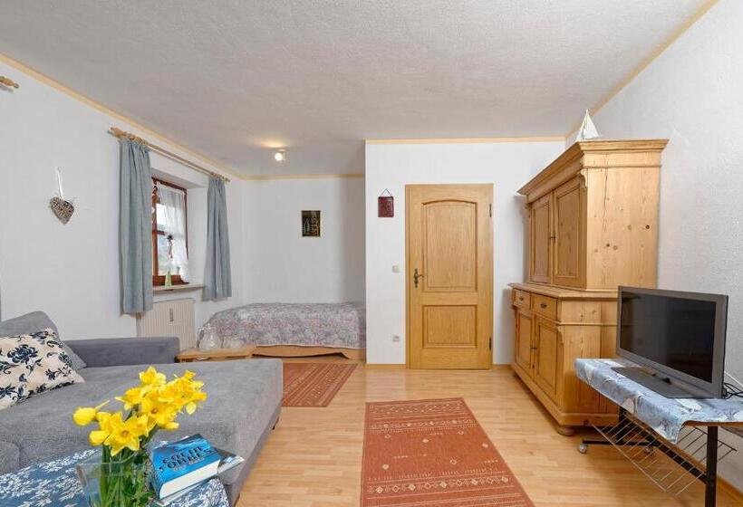 带1个卧室带观景的公寓, Gästehaus Koyerbauer Boardinghouse