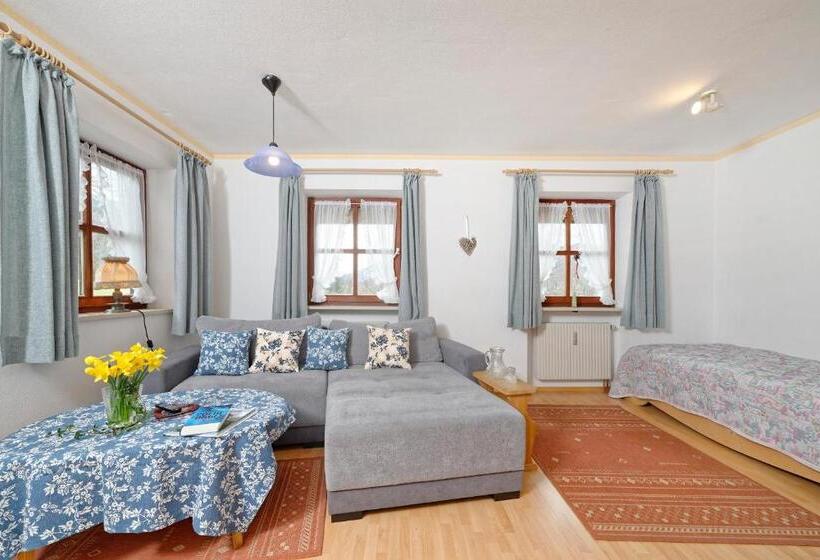 带1个卧室带观景的公寓, Gästehaus Koyerbauer Boardinghouse