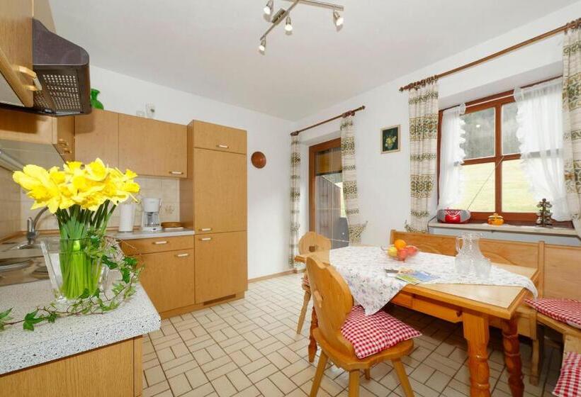 带1个卧室带观景的公寓, Gästehaus Koyerbauer Boardinghouse