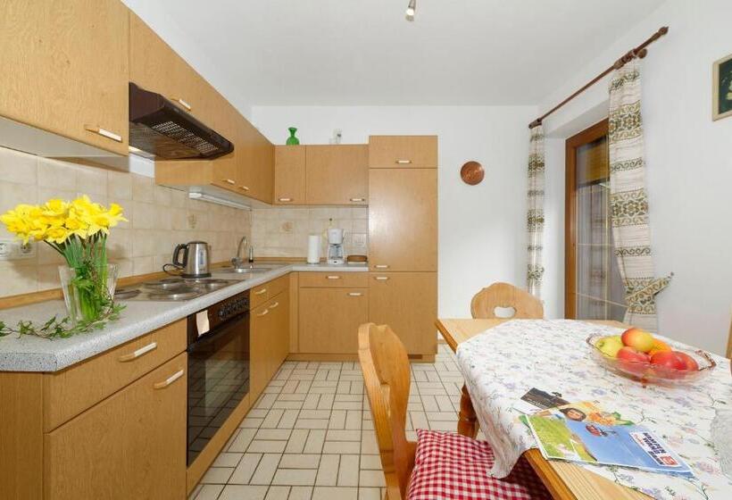 带1个卧室带观景的公寓, Gästehaus Koyerbauer Boardinghouse