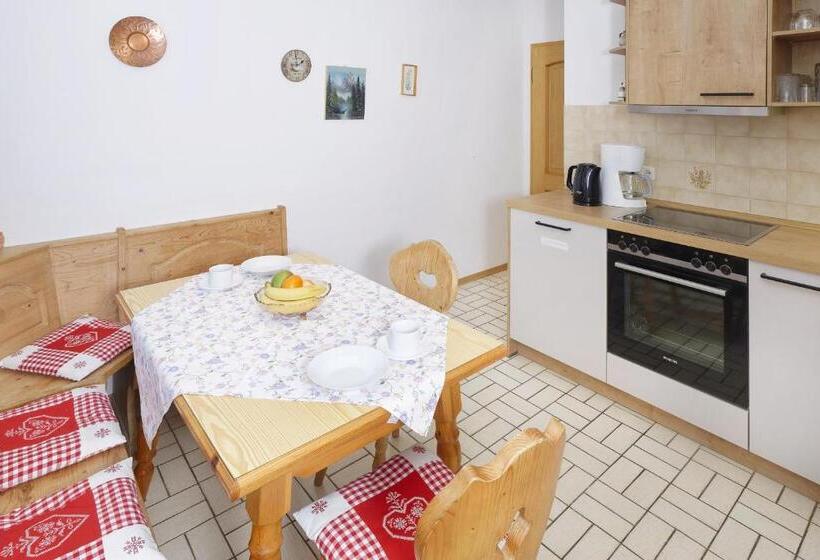 带1个卧室带观景的公寓, Gästehaus Koyerbauer Boardinghouse