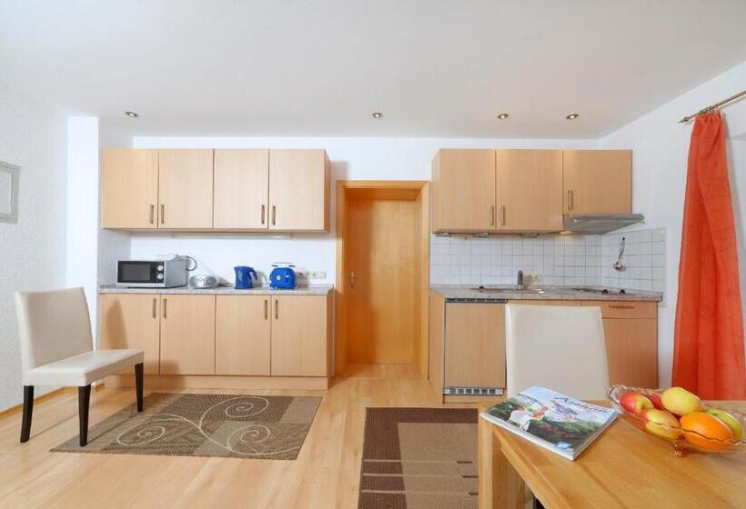 带1个卧室的公寓, Gästehaus Koyerbauer Boardinghouse