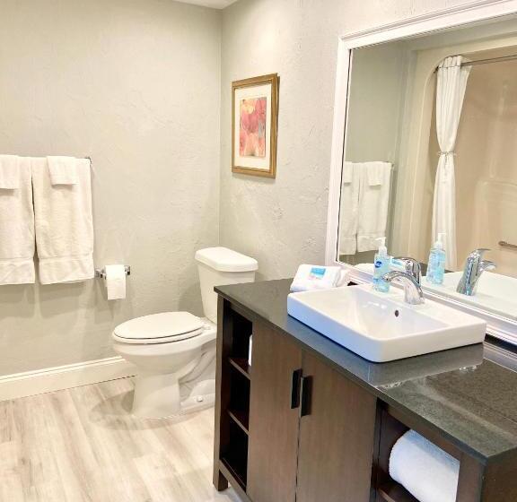 سوئیت با تخت بزرگ, Organic Beach Retreat