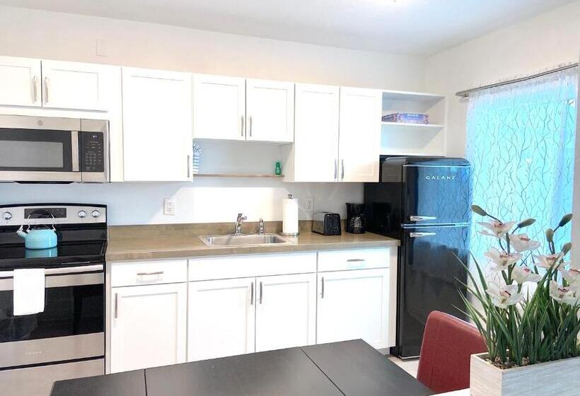استودیو استاندارد با چشم‌انداز باغ, Organic Beach Retreat