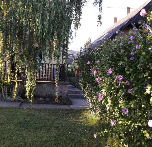آپارتمان 1 خوابه, Toldi Apartman