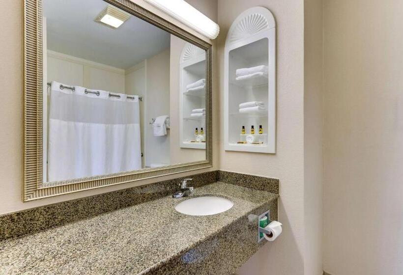 اتاق اجرایی, Comfort Inn & Suites