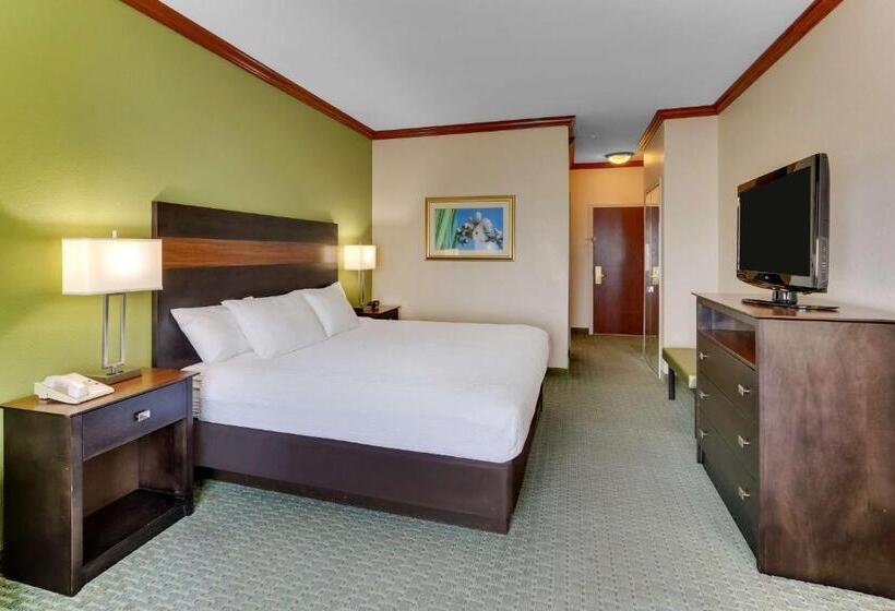 اتاق استاندارد با تخت بزرگ برای معلولان, Comfort Inn & Suites