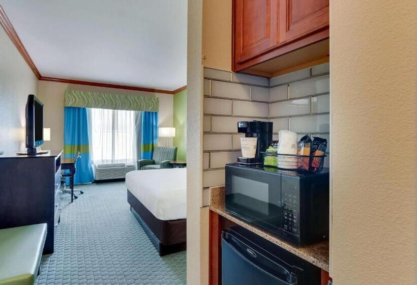 اتاق استاندارد با تخت بزرگ, Comfort Inn & Suites
