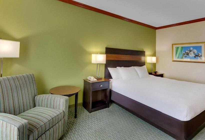 اتاق استاندارد با تخت بزرگ, Comfort Inn & Suites