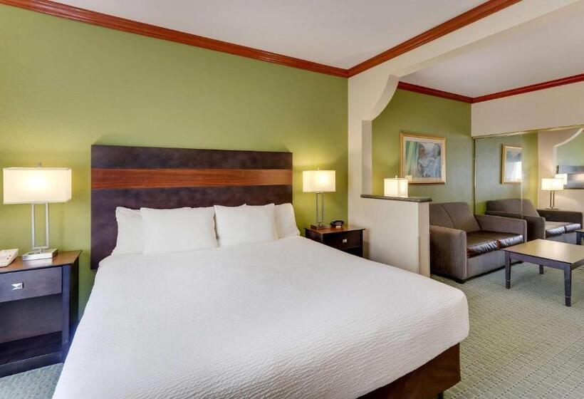 اتاق استاندارد با تخت بزرگ, Comfort Inn & Suites