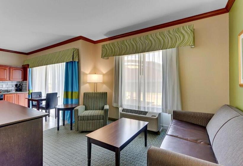 سوئیت با تخت بزرگ, Comfort Inn & Suites