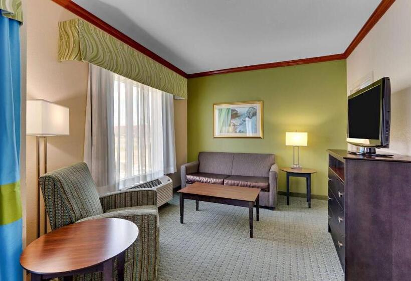 سوئیت با تخت بزرگ, Comfort Inn & Suites