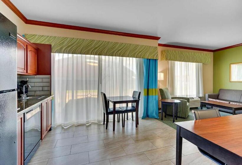 سوئیت با تخت بزرگ, Comfort Inn & Suites