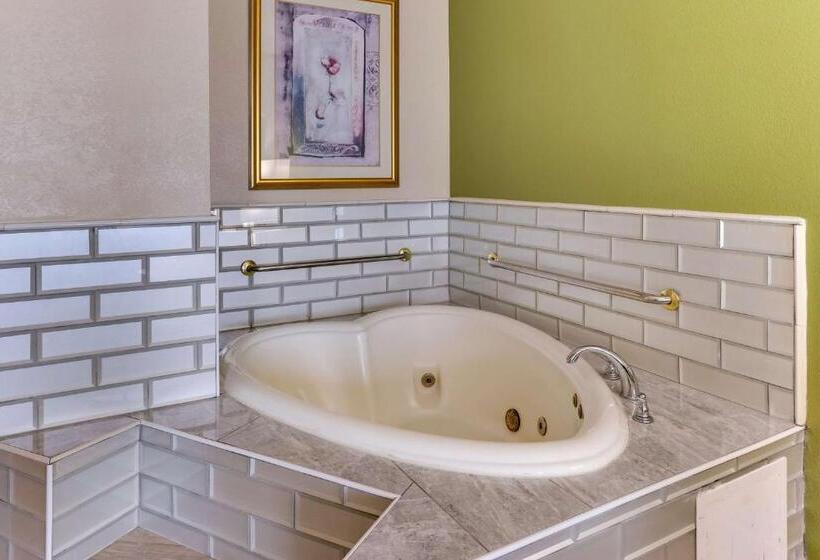 سوئیت با تخت بزرگ, Comfort Inn & Suites
