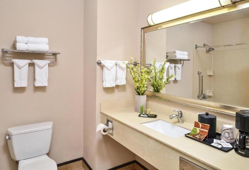 اتاق استاندارد با تخت بزرگ, Chino Hills