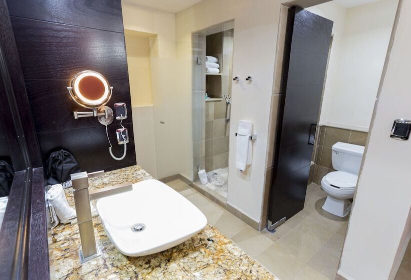 اتاق استاندارد با تخت بزرگ, Hilton Queretaro