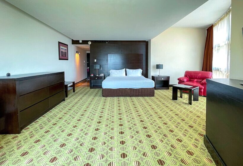 اتاق استاندارد با تخت بزرگ, Hilton Queretaro