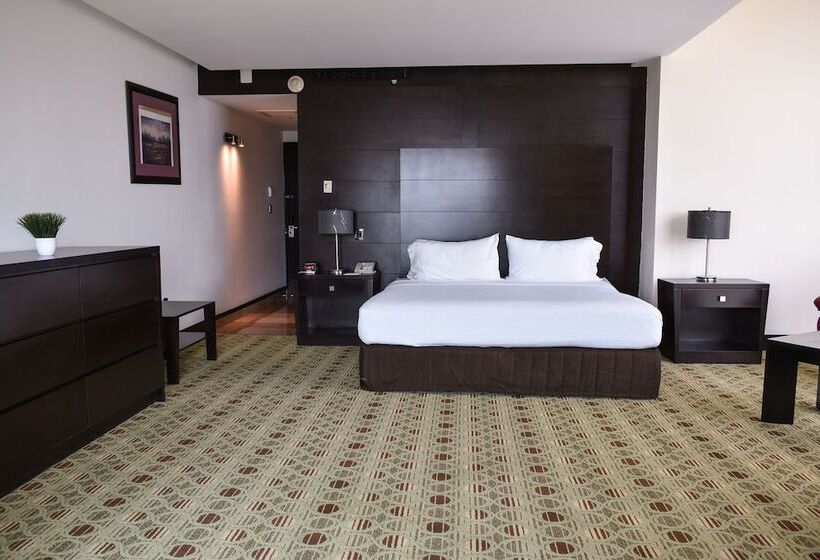 اتاق استاندارد با تخت بزرگ, Hilton Queretaro
