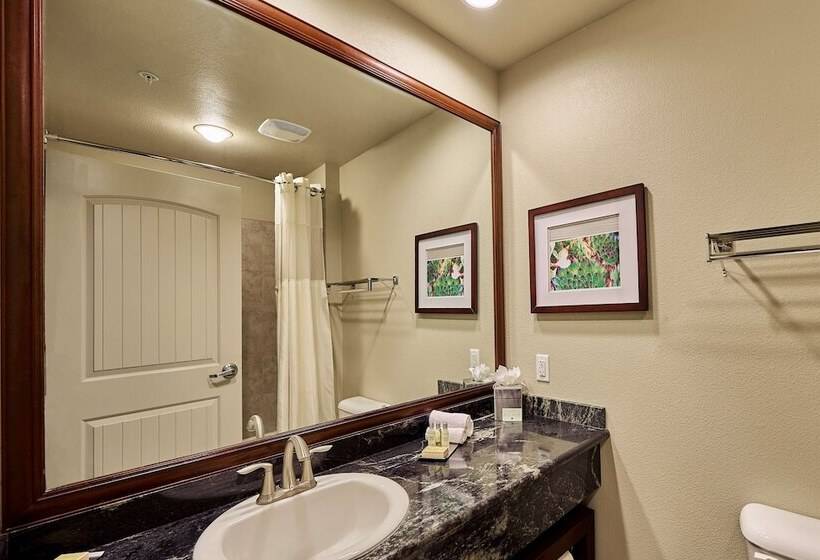 سوئیت جونیور برای معلولان, Doubletree By Hilton Phoenix Gilbert