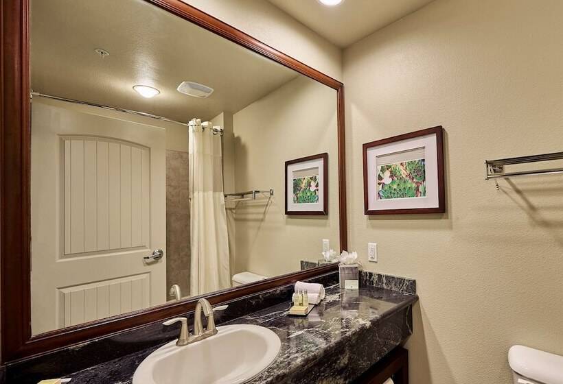 Junior Suite Adapted for people with reduced mobility, Doubletree By Hilton Phoenix Gilbert