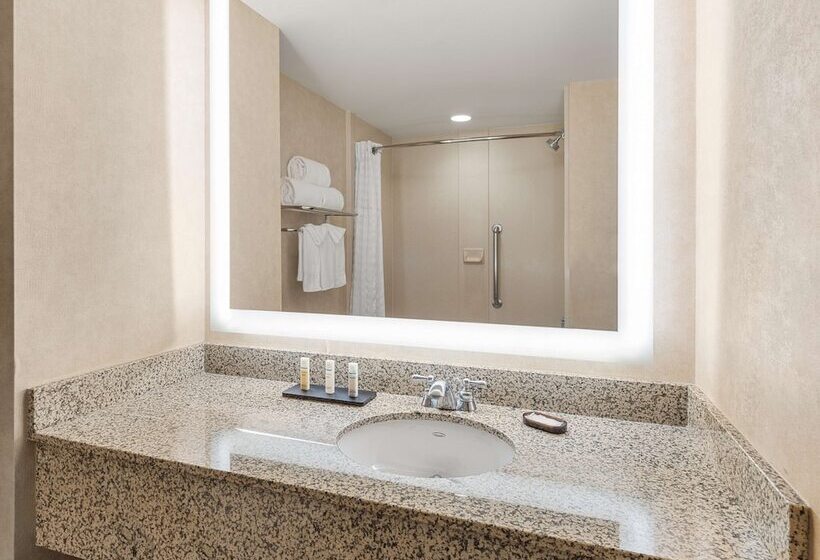 اتاق استاندارد با تخت دوبل, Embassy Suites By Hilton Dallas Frisco Hotel & Convention Center