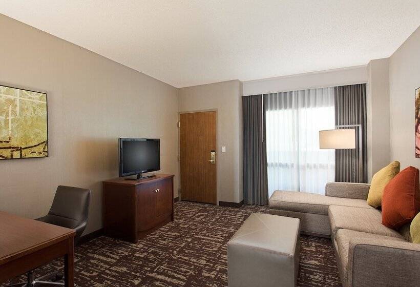 ダブルベッドスタンダードルーム, Embassy Suites By Hilton Dallas Frisco Convention Ctr & Spa