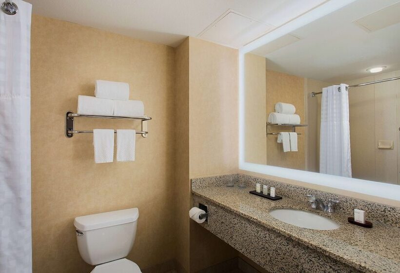 Chambre Standard Lit Double, Embassy Suites By Hilton Dallas Frisco Convention Ctr & Spa