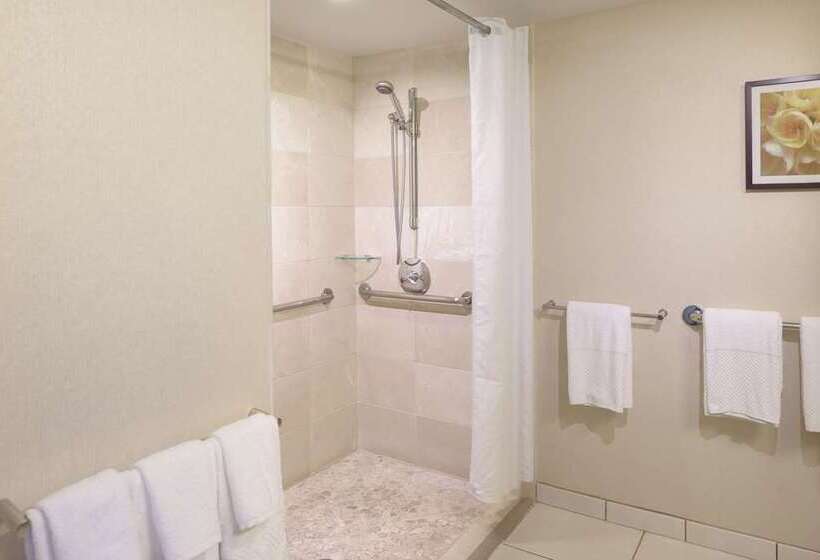 带观景的豪华间, Hilton Branson Convention Center