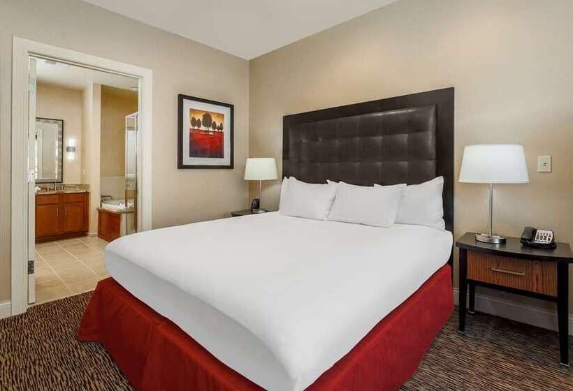 带1个卧室的公寓, Hilton Branson Convention Center