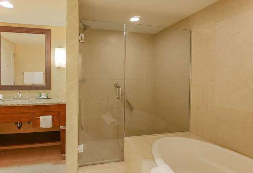 带1个卧室的公寓, Hilton Branson Convention Center