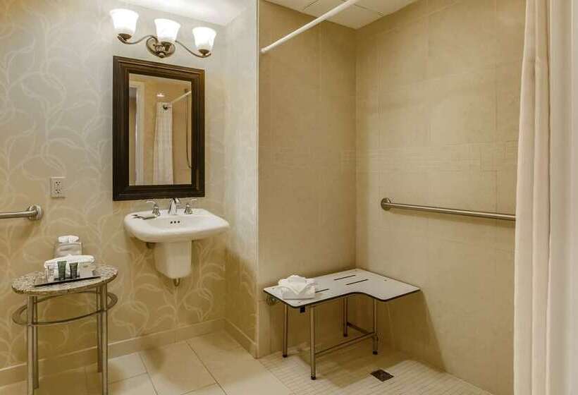 豪华房间, Hilton Branson Convention Center